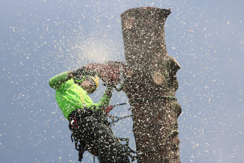 Arborist making a cut into a tree trunk with a chainsaw while wearing safety equipment