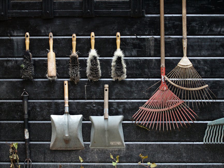 Garden tools neatly arranged and hanging on a rustic wooden wall