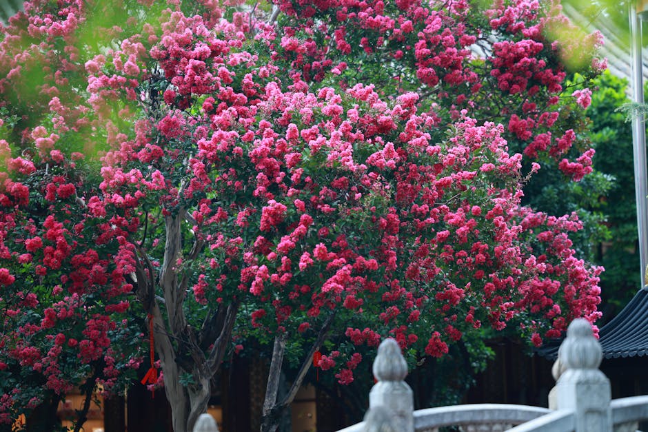 Crepe myrtle tree with natural form in a garden setting
