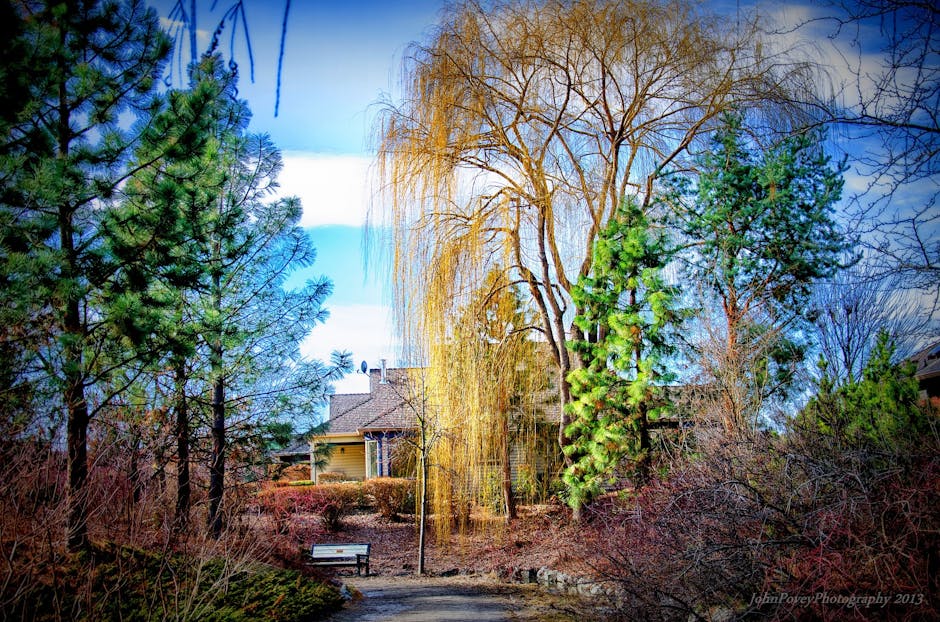 Garden path leading to a charming house surrounded by lush trees