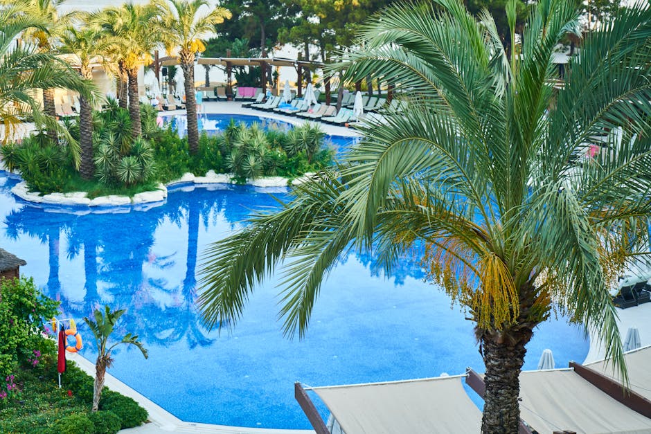 Palm trees beside a resort-style swimming pool with lounge chairs