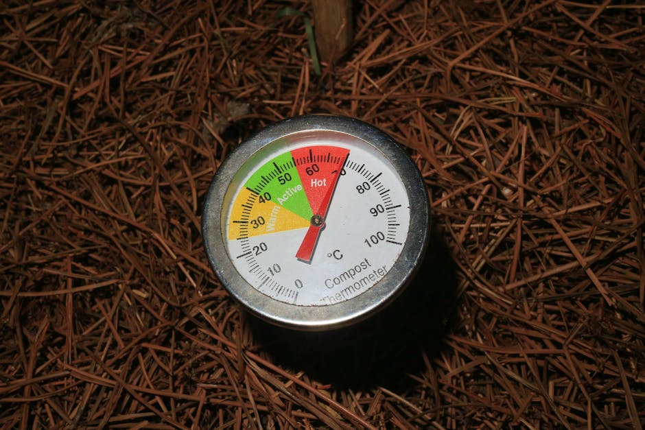 Compost thermometer inserted in soil bed measuring temperature for planting