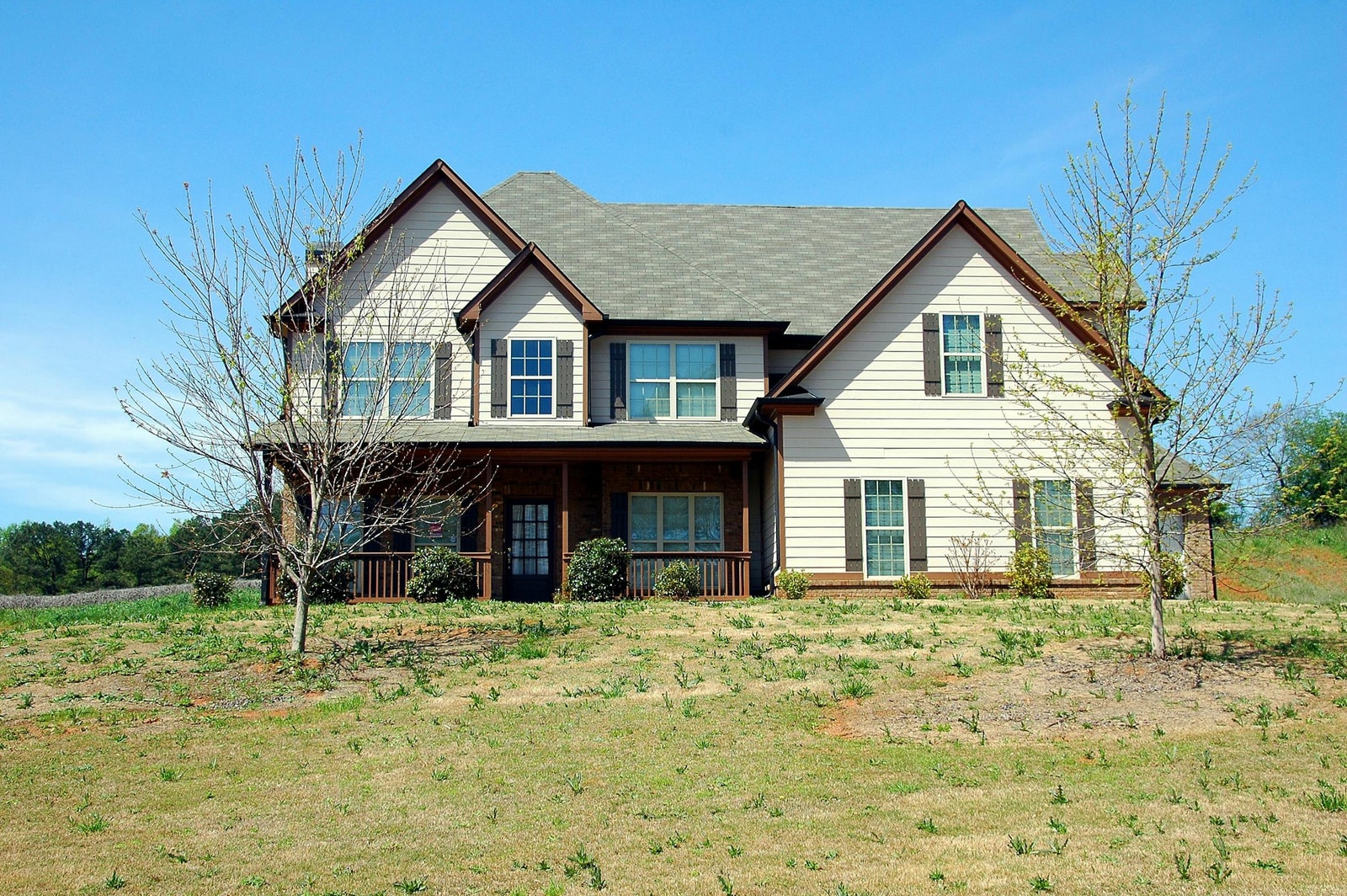A large shade tree on a green front lawn beside a two-story suburban house