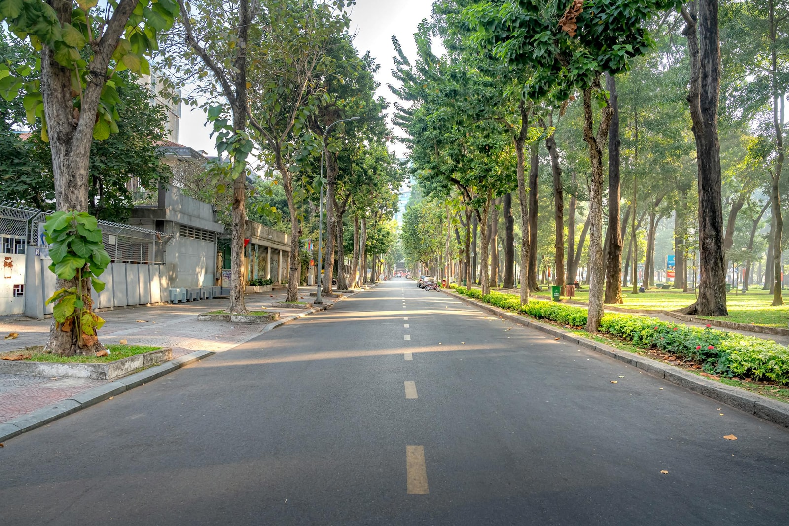 A residential city street lined on both sides with tall mature trees and green foliage