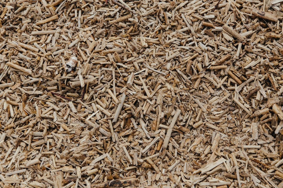 Natural brown wood chips used for mulching around trees