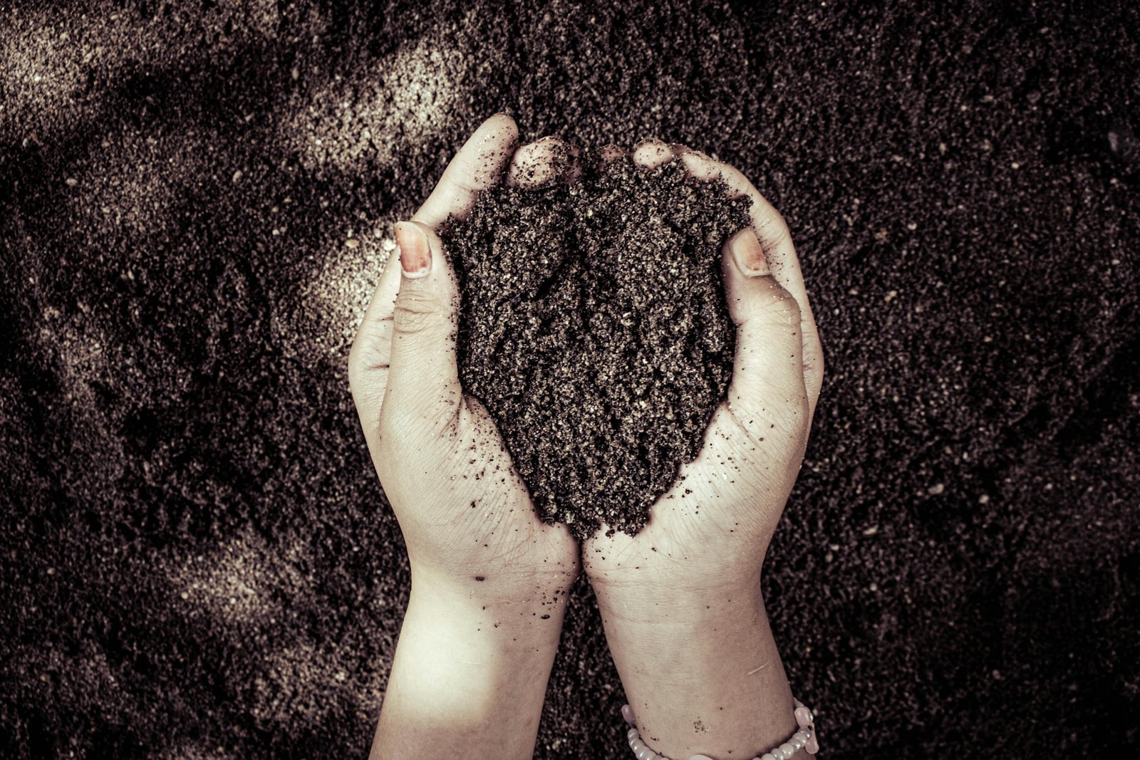 A pair of hands cupping a mound of dark, crumbly soil