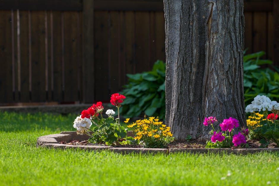 Colorful flowers planted around the base of a tree trunk in a landscaped backyard garden