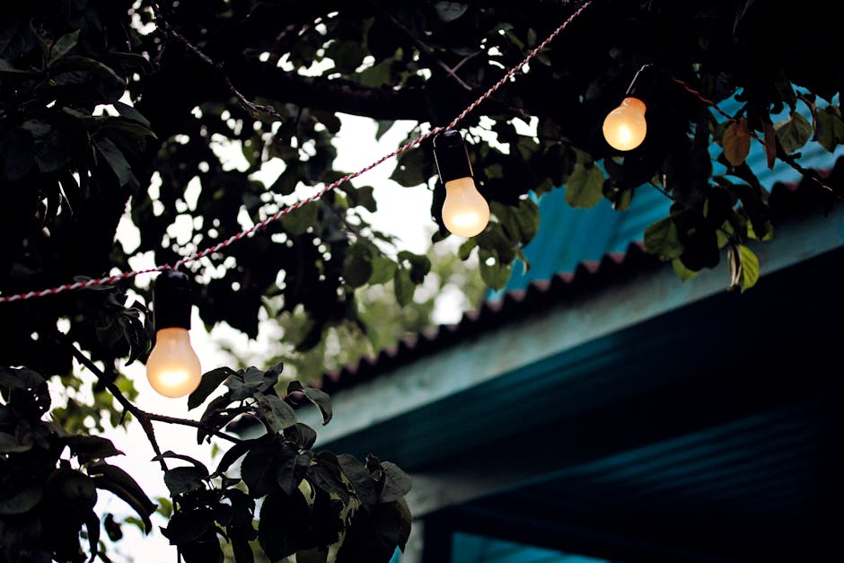 String lights hanging among green tree branches at dusk
