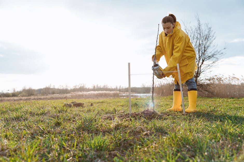 Woman planting a tree sapling in an open field