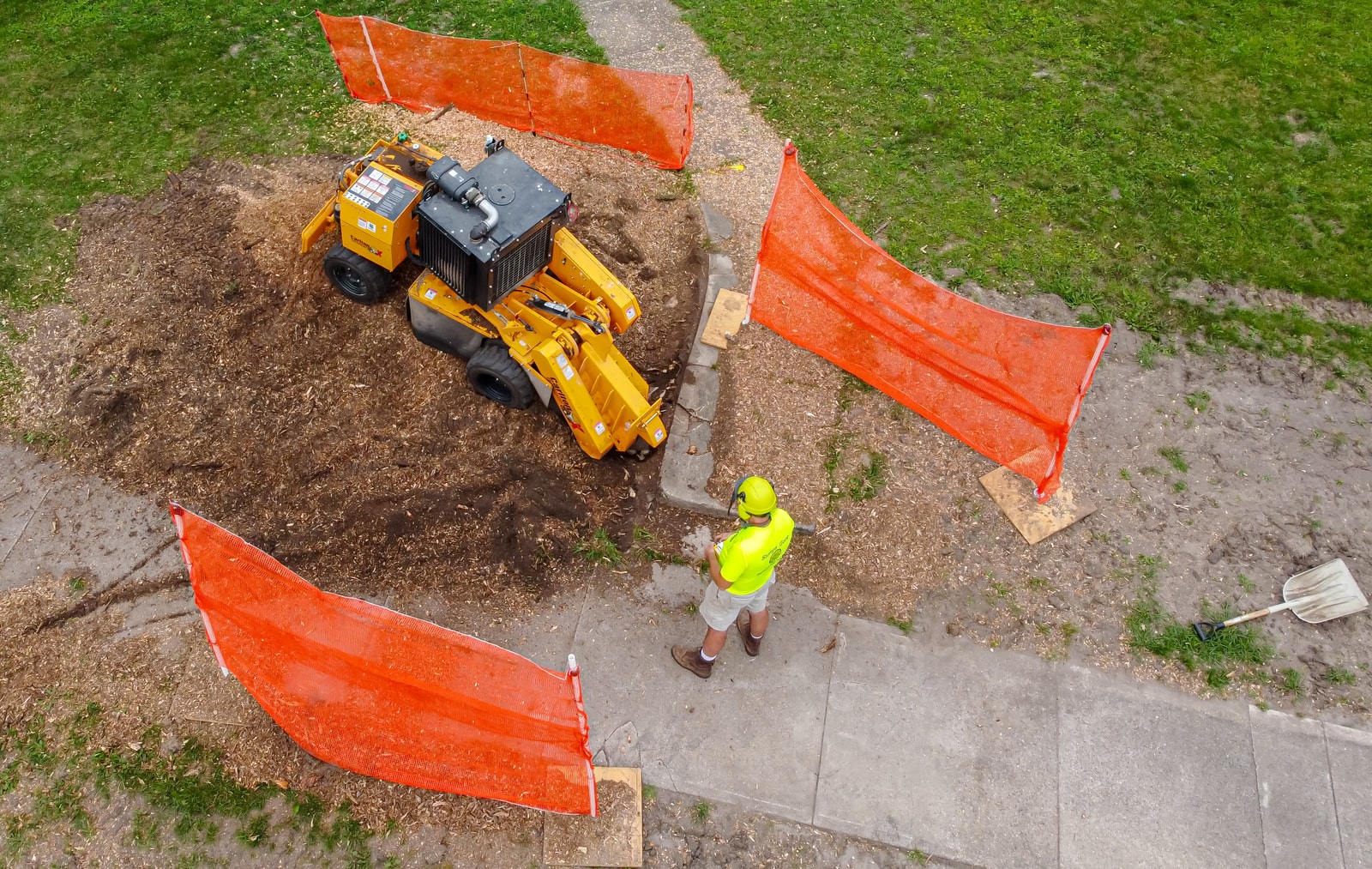 Stump grinder at work behind orange safety fencing
