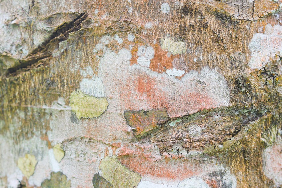 Close-up of textured tree bark showing natural patterns and surface detail