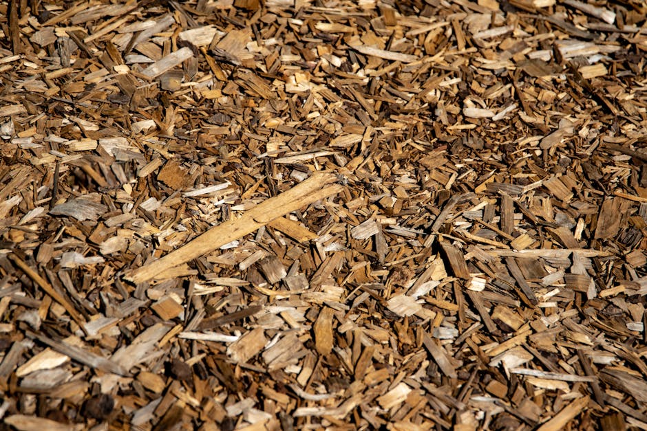 Close-up of brown bark mulch spread on the ground in sunlight