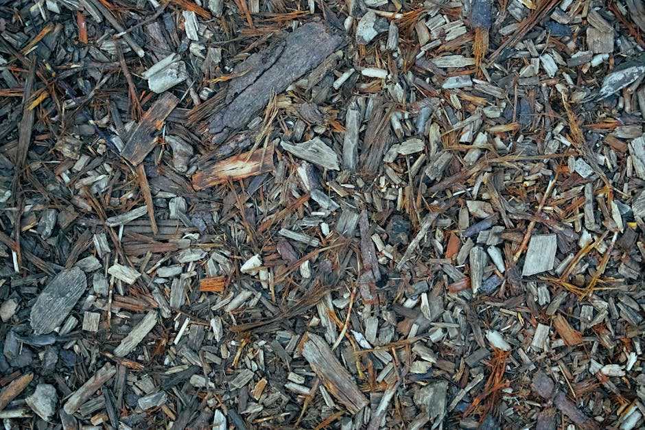 Natural wood chip mulch spread on the ground, the kind you get from chipping a Christmas tree