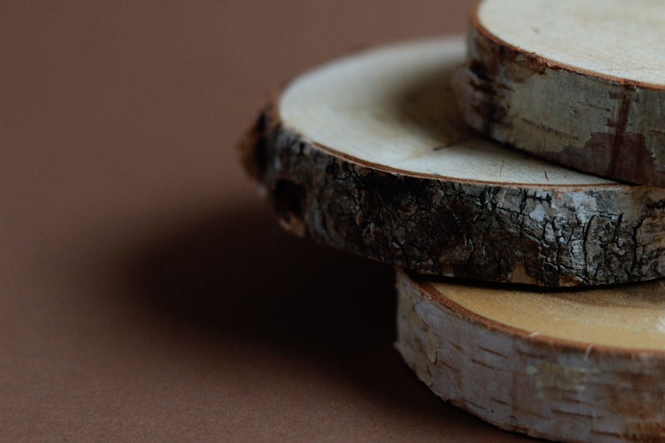Close-up of stacked tree trunk rounds cut into slices showing natural wood grain and ring patterns