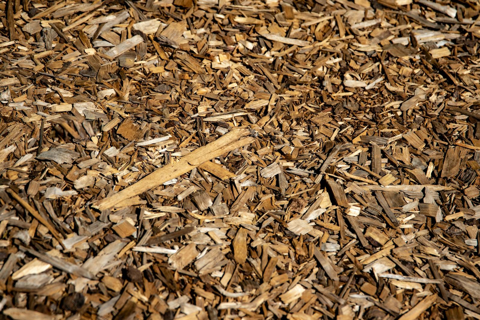 Close-up of brown bark mulch in sunlight showing the texture of wood chip ground cover