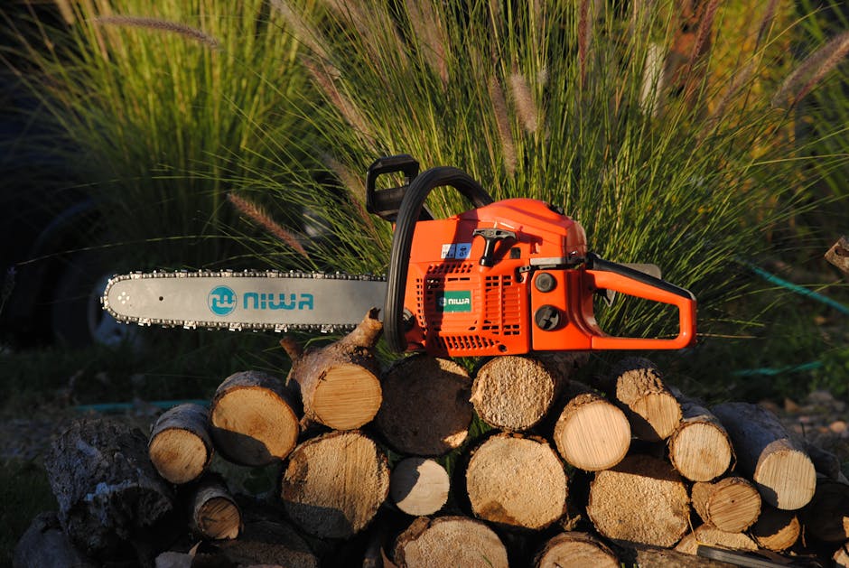 Orange chainsaw resting on freshly cut logs in a sunlit garden with greenery in the background