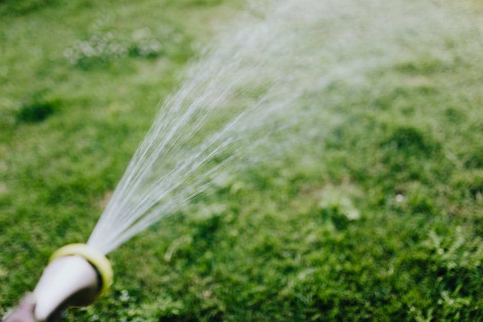 Garden hose spraying water over a green lawn on a sunny day