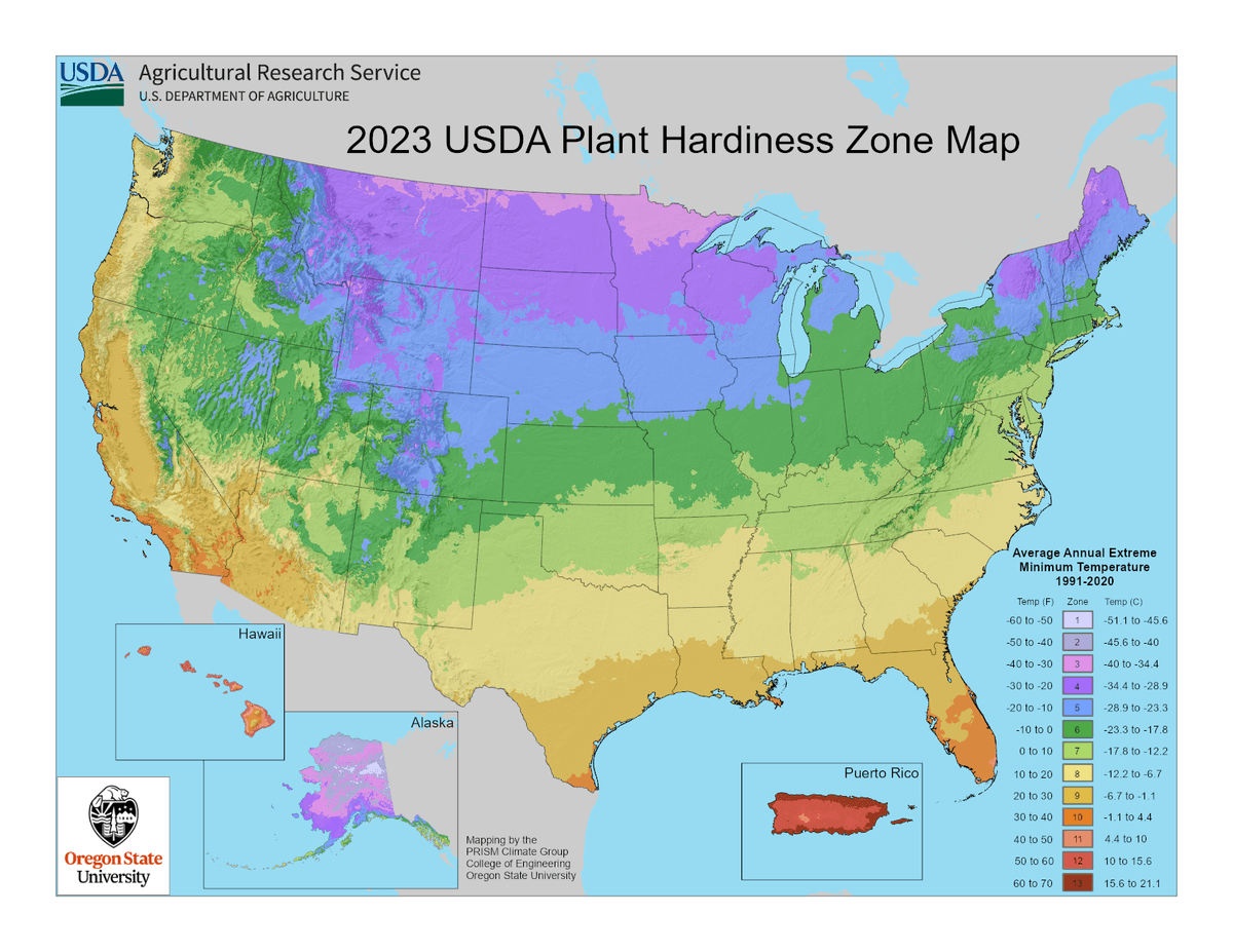 USDA Plant Hardiness Zone Map for the United States (2023), showing zones colored from cold (zone 1, north) to warm (zone 13, south)